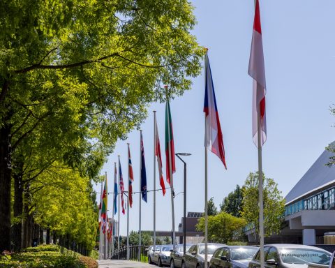 WMC Kerkrade 75 jaar jubileum Lange rij van vlaggen van verschillende landen langs een straat met bomen.
